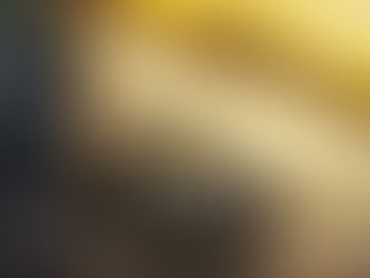 Llega a Colombia el VW Polo Track