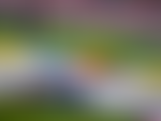 Grave lesión de Aldeguer antes del inicio de temporada