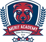 Merit Badge (1).webp