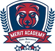 Merit Badge (1).webp