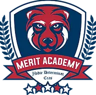 Merit Badge (1).webp