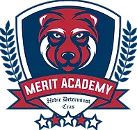 Merit Badge (1).webp