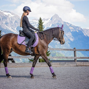Horse Dolomites