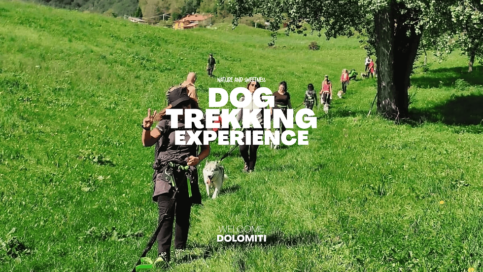 Dog Trekking, Dolomiti | WELCOME DOLOMITI