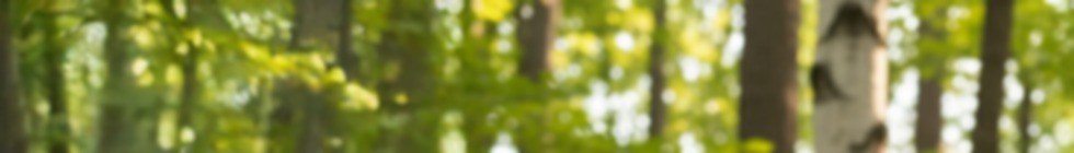 background1.png