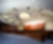 Screen Shot 2024-10-30 at 10.38.27 AM.png