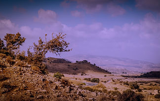 Scant-dry-rocky-mediterranean-landscape_