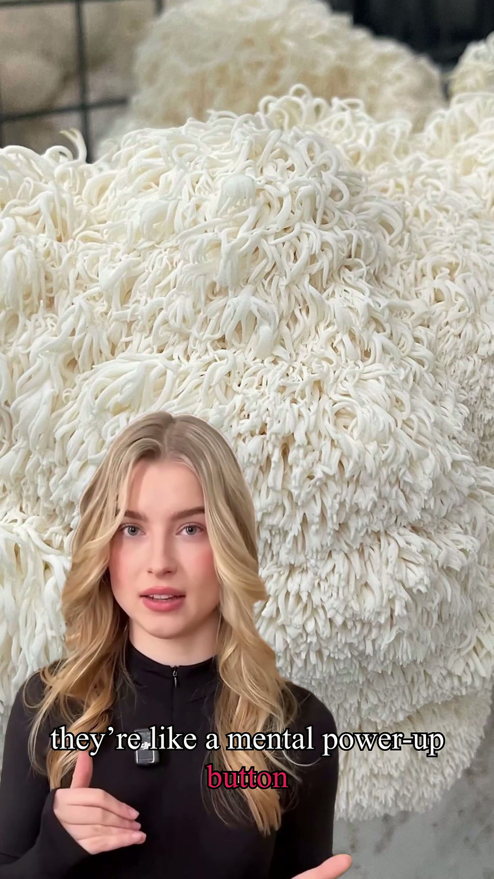 Thumbnail: Fresh Lion's Mane Mushroom