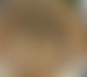 Wenn Besucher staunen: Ein Blick ins Herz unseres Bienenstocks
