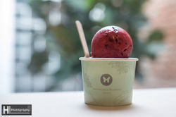 Monarchs and Milkweed Gelato-24