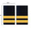 Thumbnail: EPAULETS 2 STRIPES - GOLD - HARD