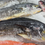 Thumbnail: Mahi-Mahi (PesteleDelfin)