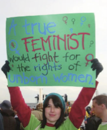 Towards a More Consistent Feminism: A Commentary on "Feminism is for Everybody"