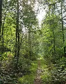 Trailrun door het Kuinderbos, epictrails trailrunning event