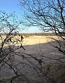Trailrunevent soesterduinen epictrails trailrun