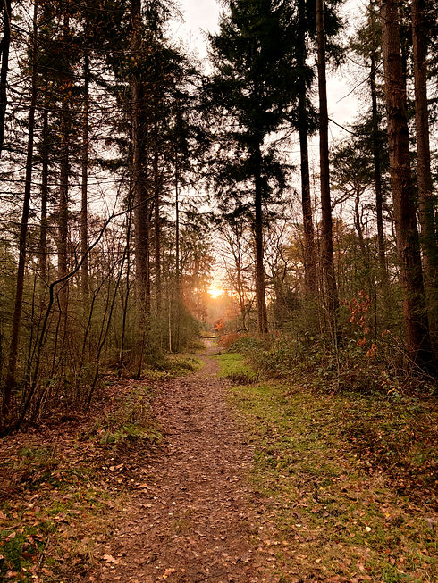 LageVuurschebos-trail-sunset_edited.jpg