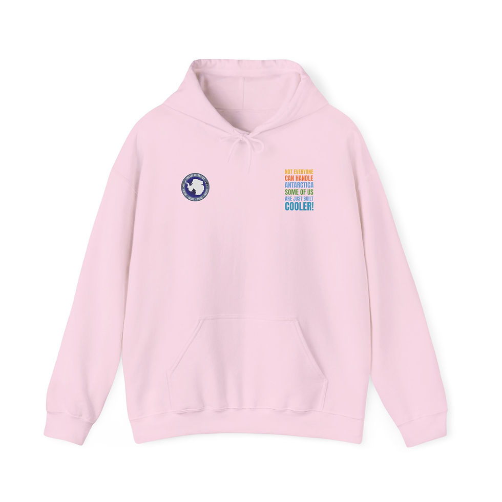 Thumbnail: Not Everyone Can Handle Antarctica 3 Hoodie Unisex Sweatshirt Polar Veterans