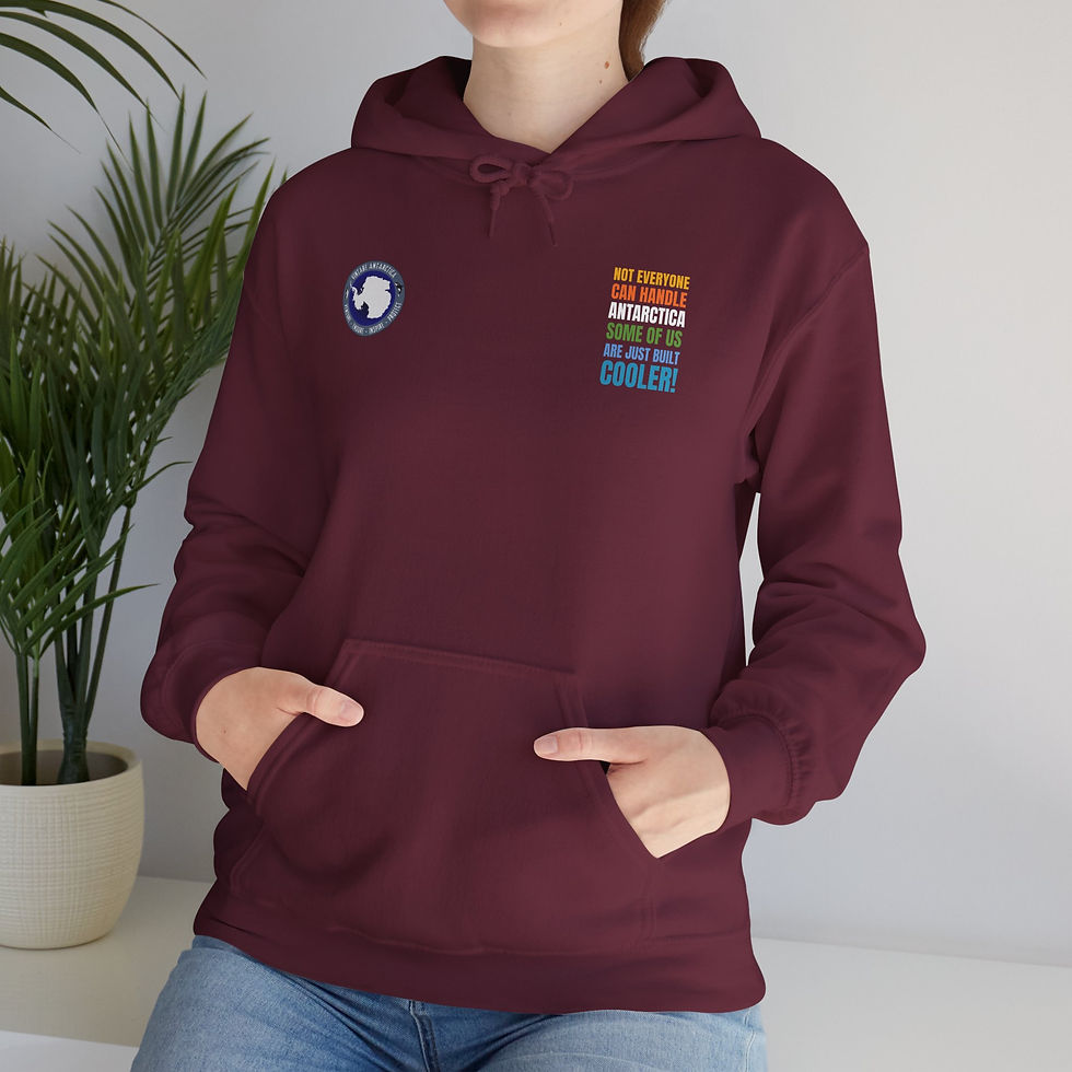 Thumbnail: Not Everyone Can Handle Antarctica 3 Hoodie Unisex Sweatshirt Polar Veterans