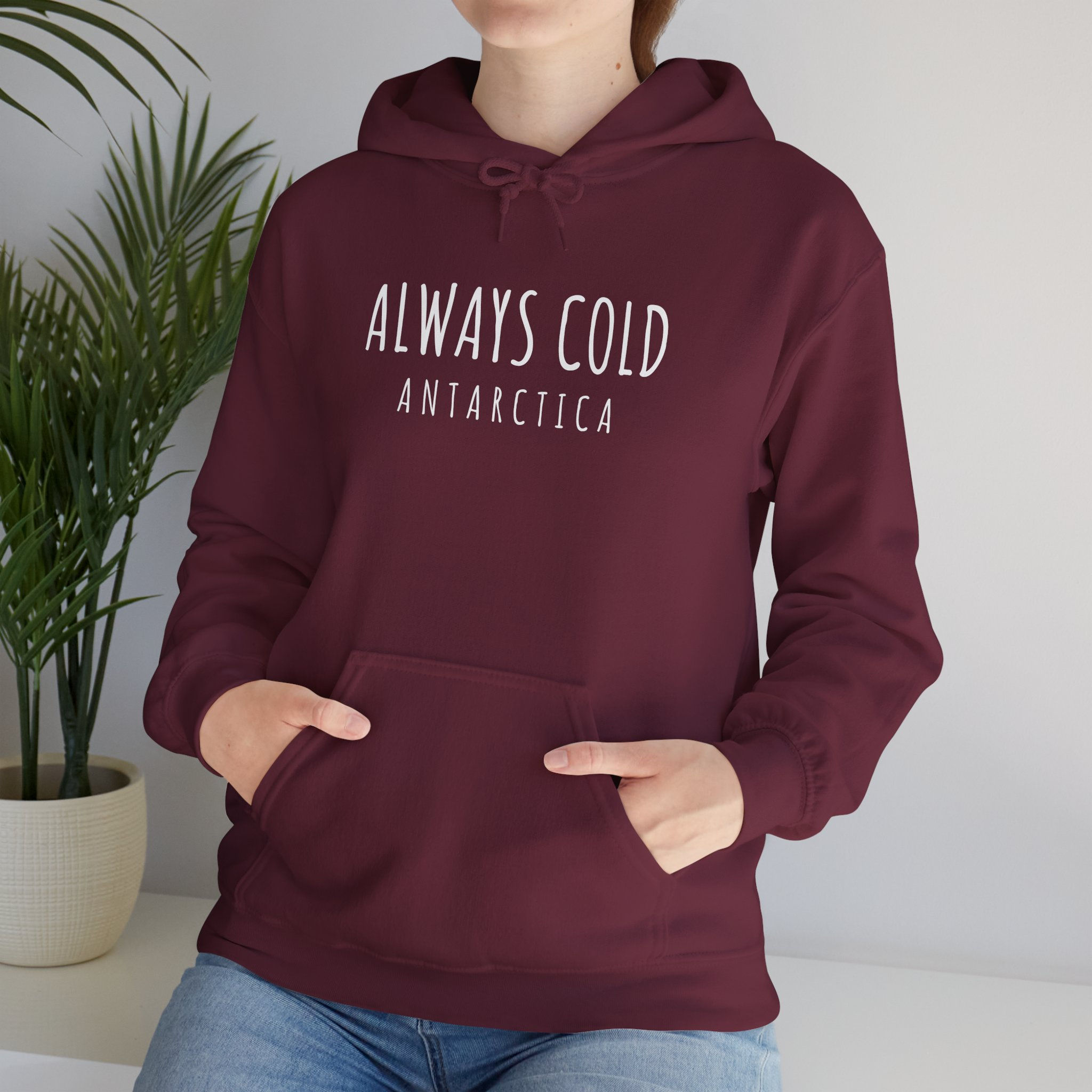 Alway Cold Vintage Antarctica Cosy Warm Funny Unisex Hoodie