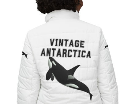 Are there Orcas in Antarctica?