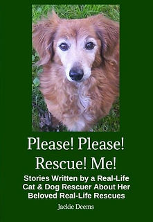 Please! Please! Rescue! Me!