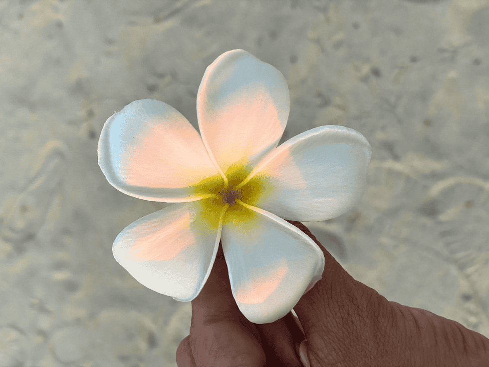 Femme qui tient une fleur, mère de famille, blog personnel