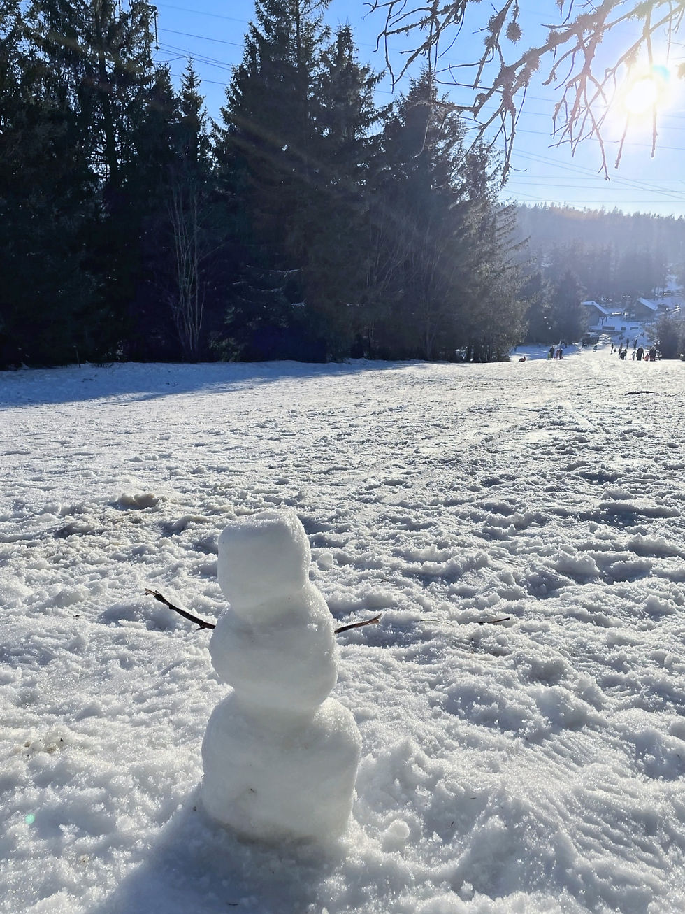 Bonhomme de neige au soleil hiver