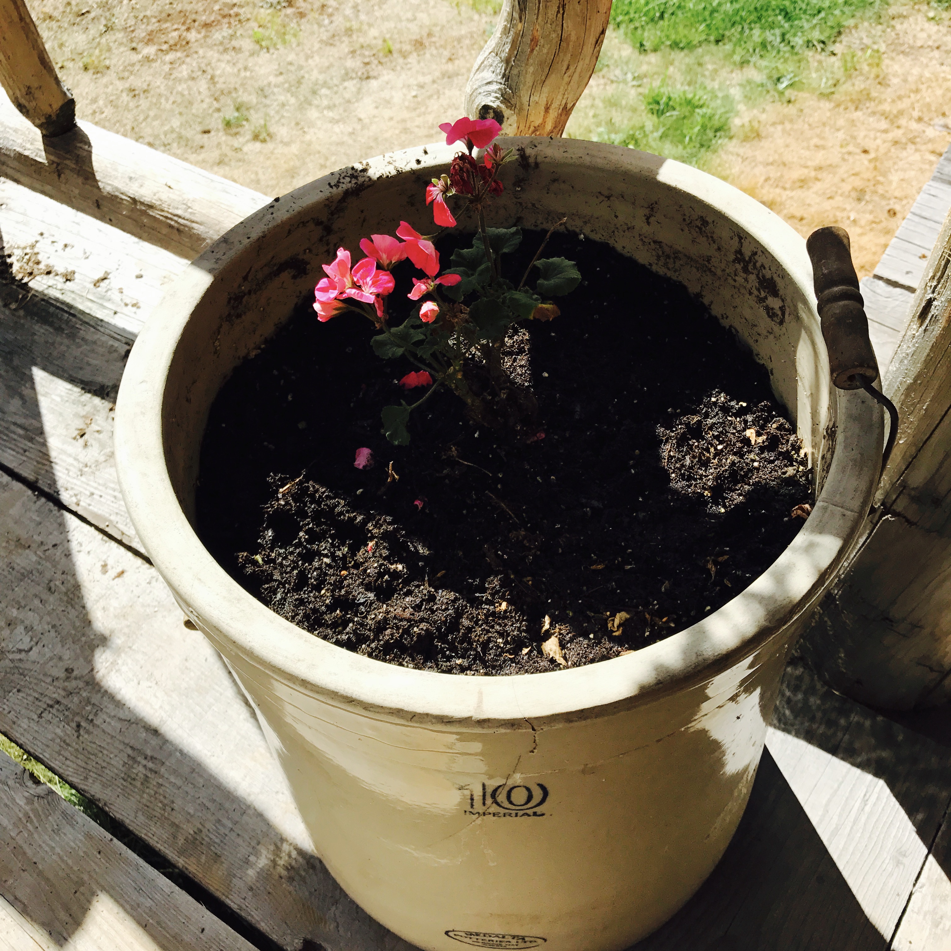 Up-cycled Flower Pot