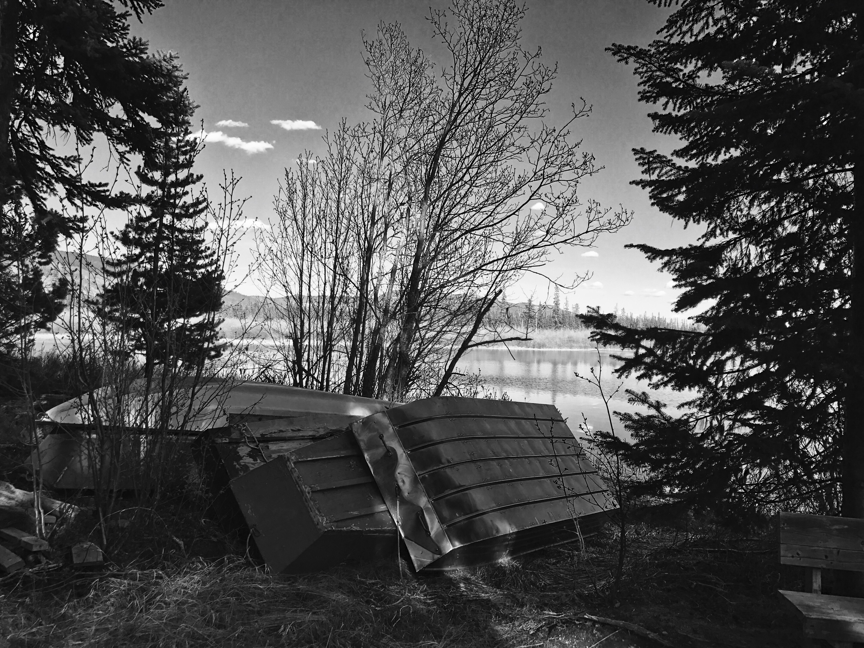 Rioux Lake Shore