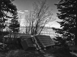 Rioux Lake Shore