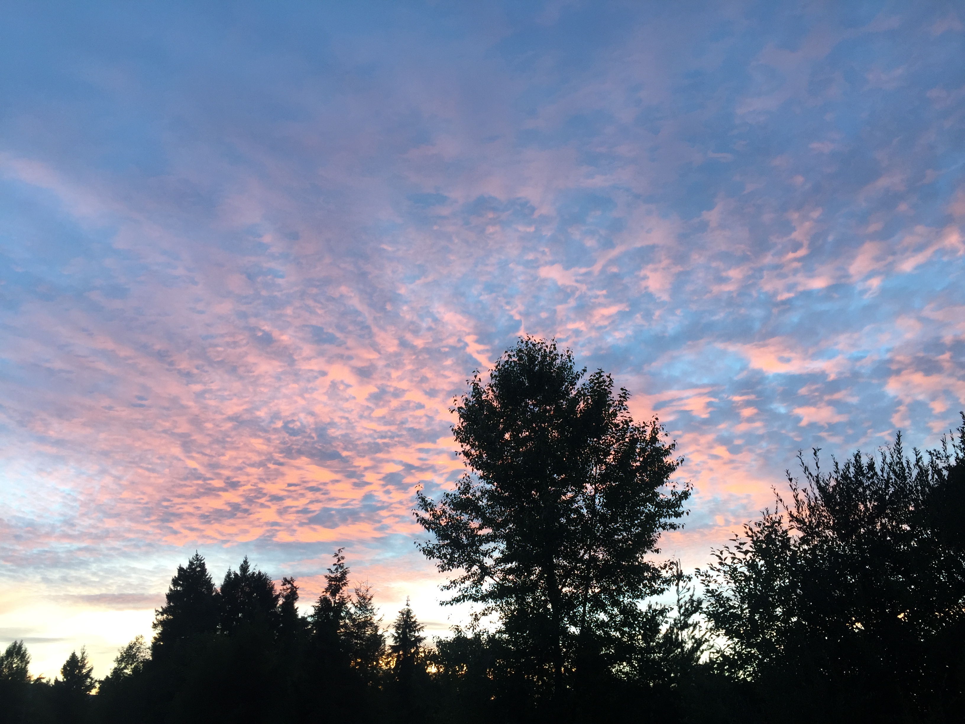 Evening Sky