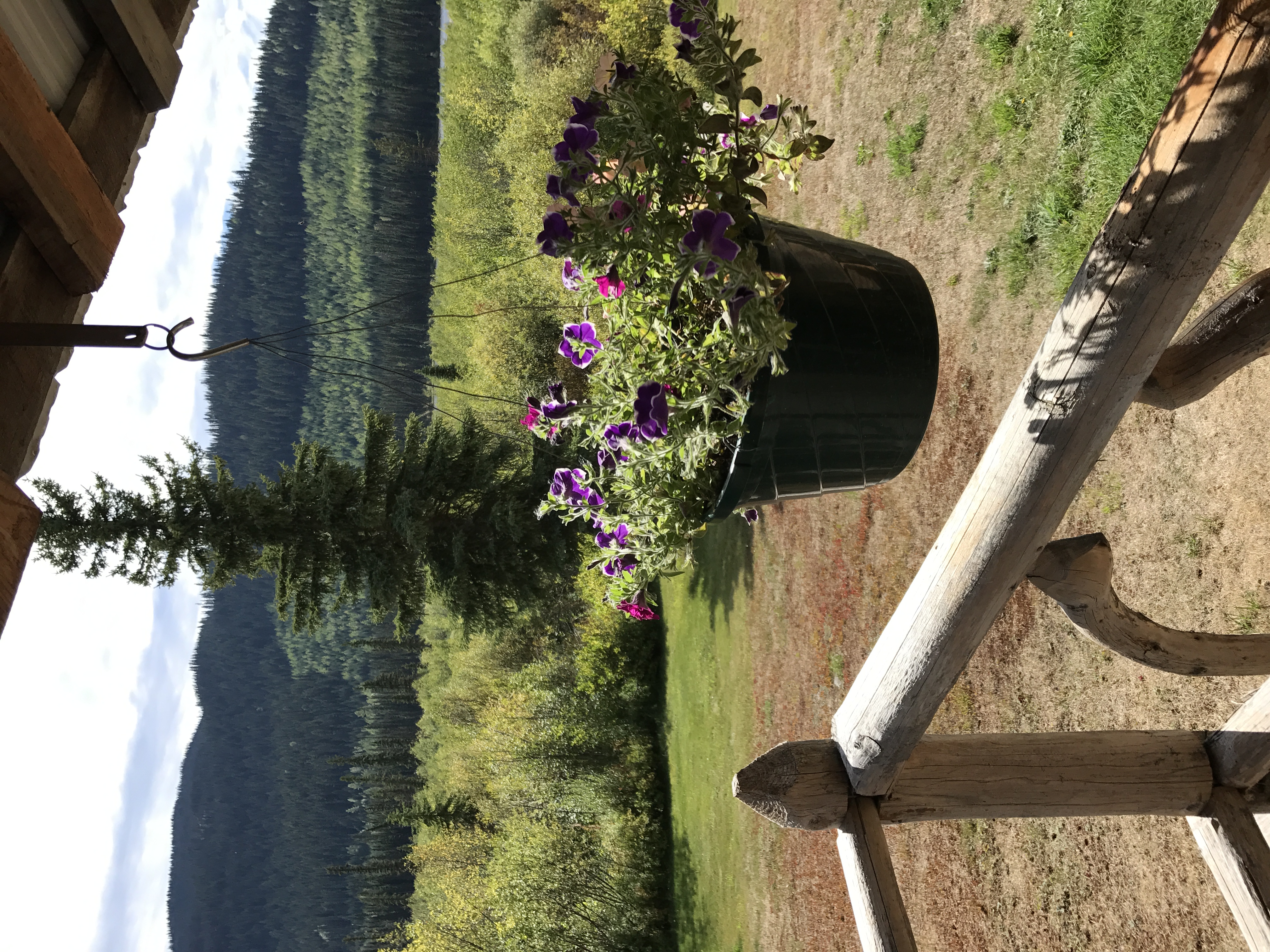 View from Front Porch