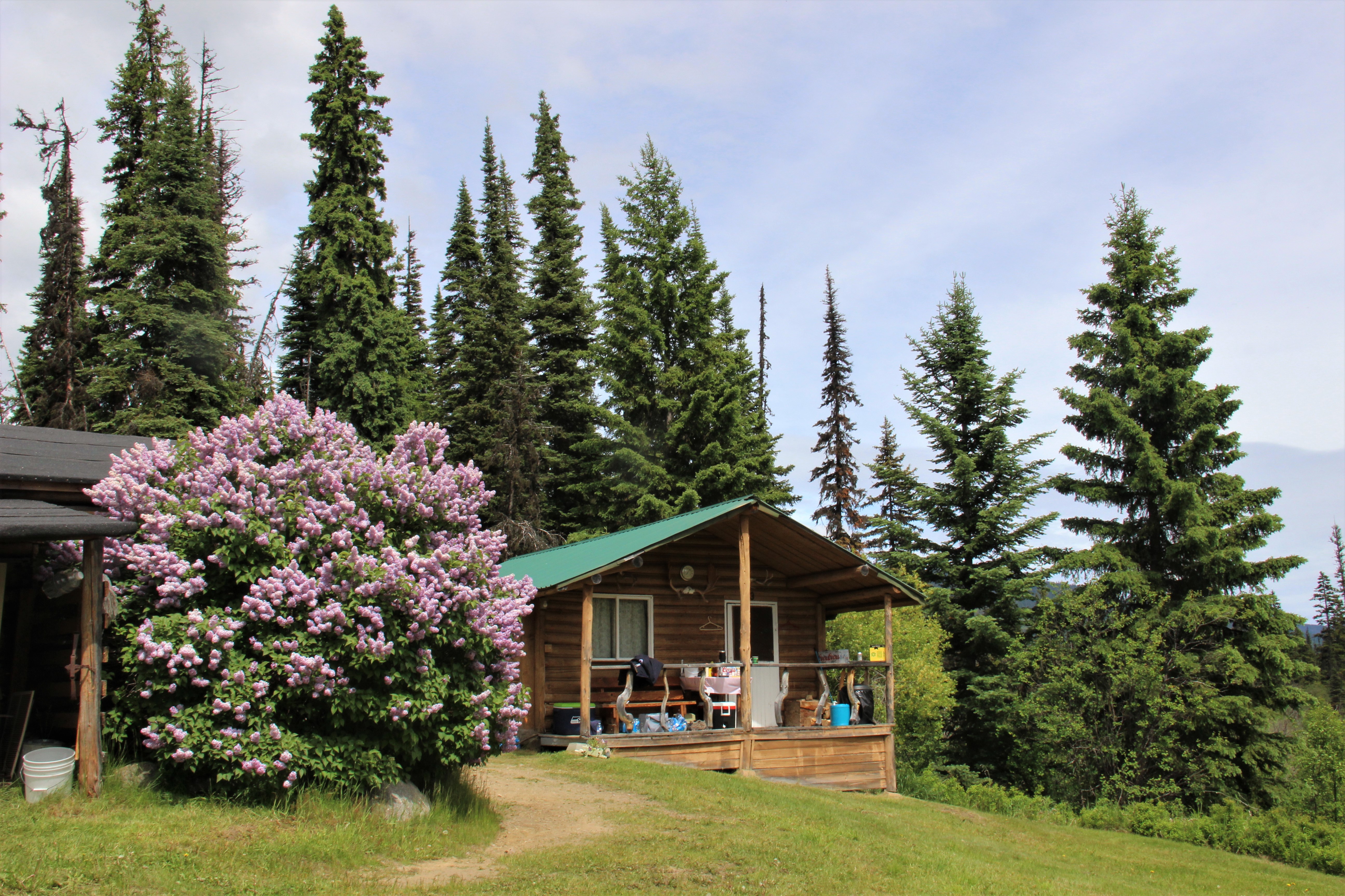 Honeymoon Cabin