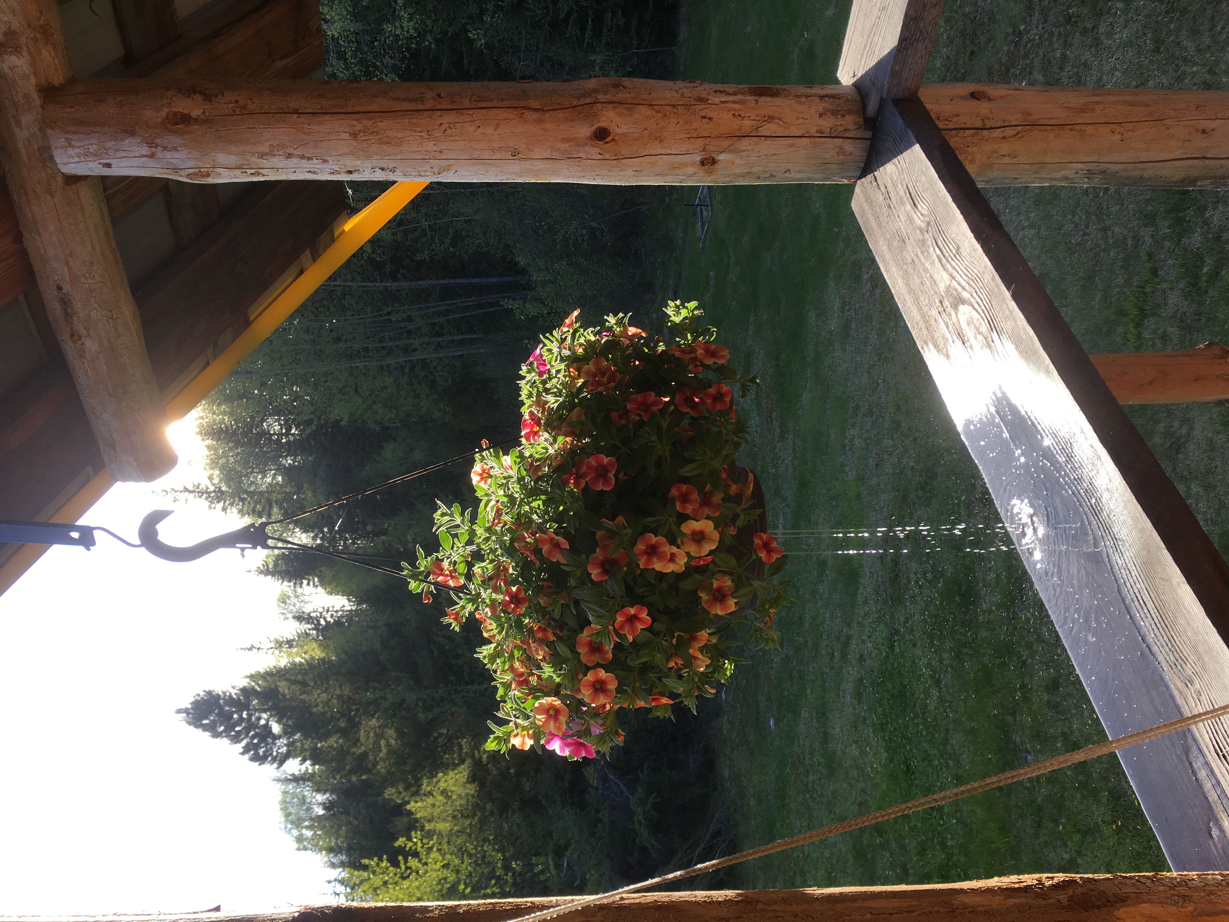 Sunny Flower Basket