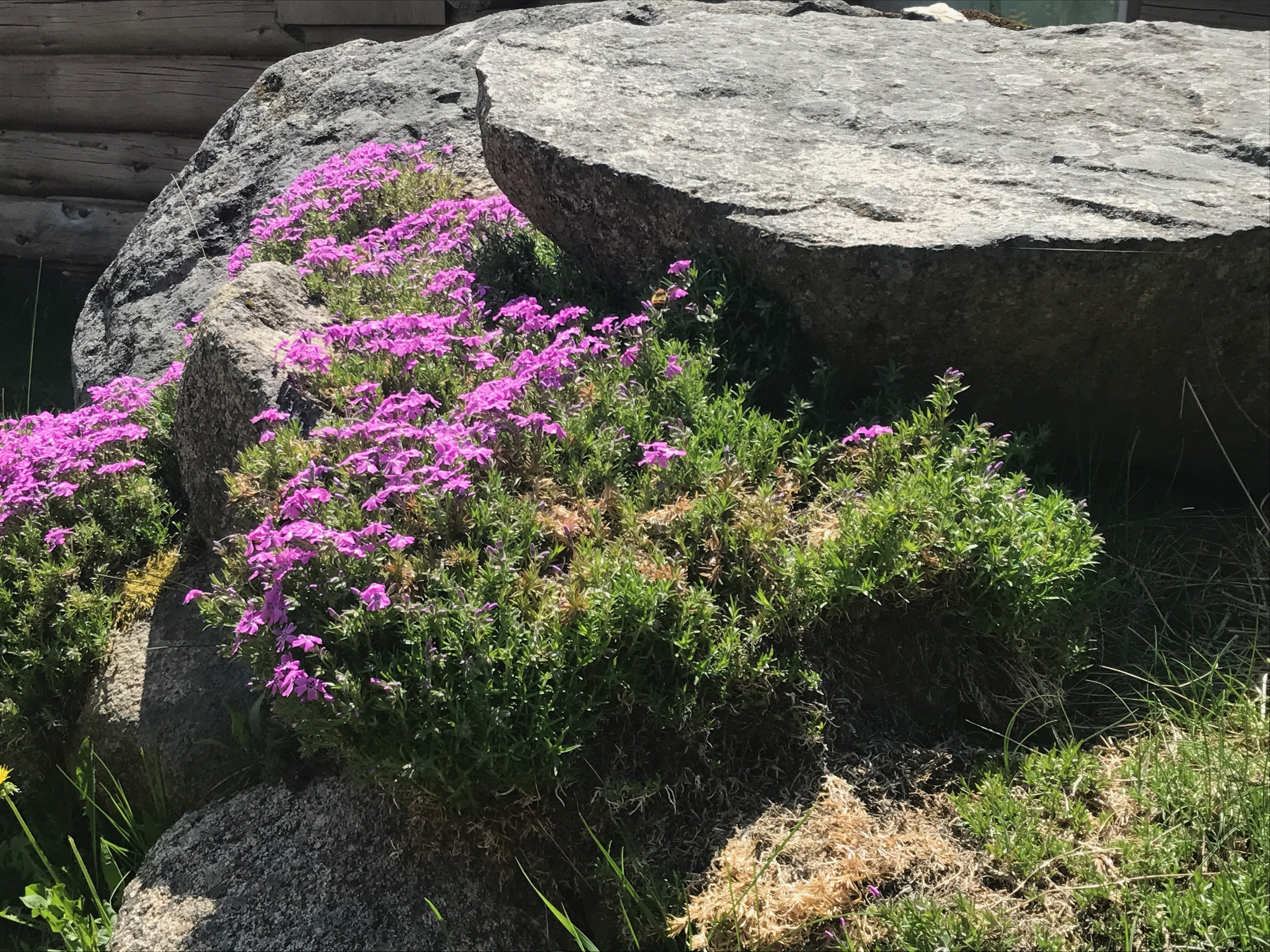 Natures Beauty & Abundance