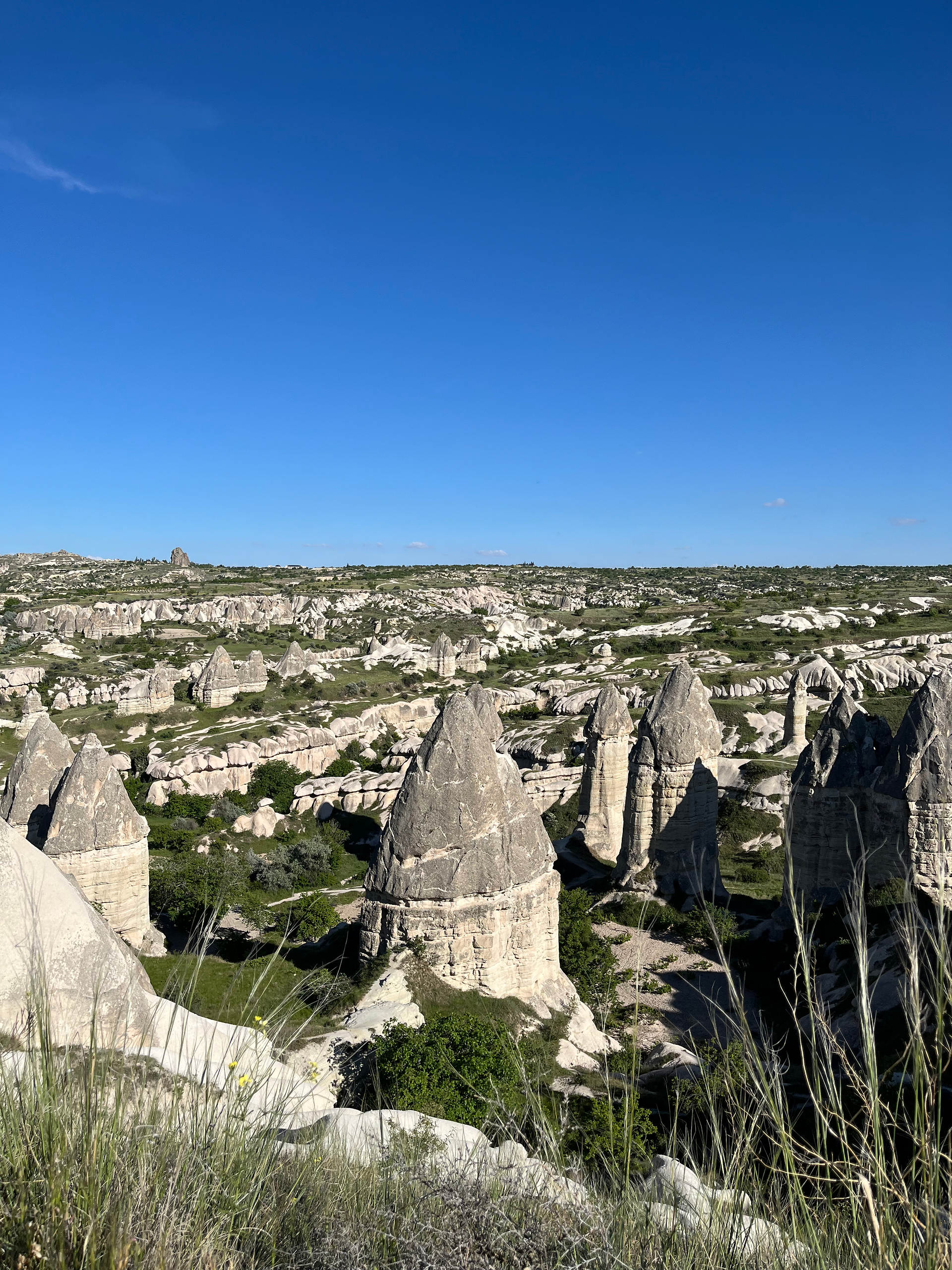 Fairy chimneys in Cappadocia, Turkey
