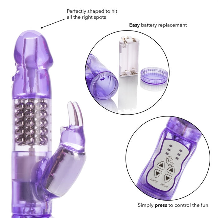 Miniature : Jack Rabbit