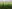 IMG_5525.jpeg