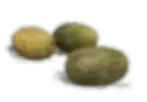 Melones may 25.webp