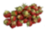 Fresitas (1).webp