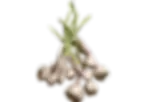 Ajetes.webp