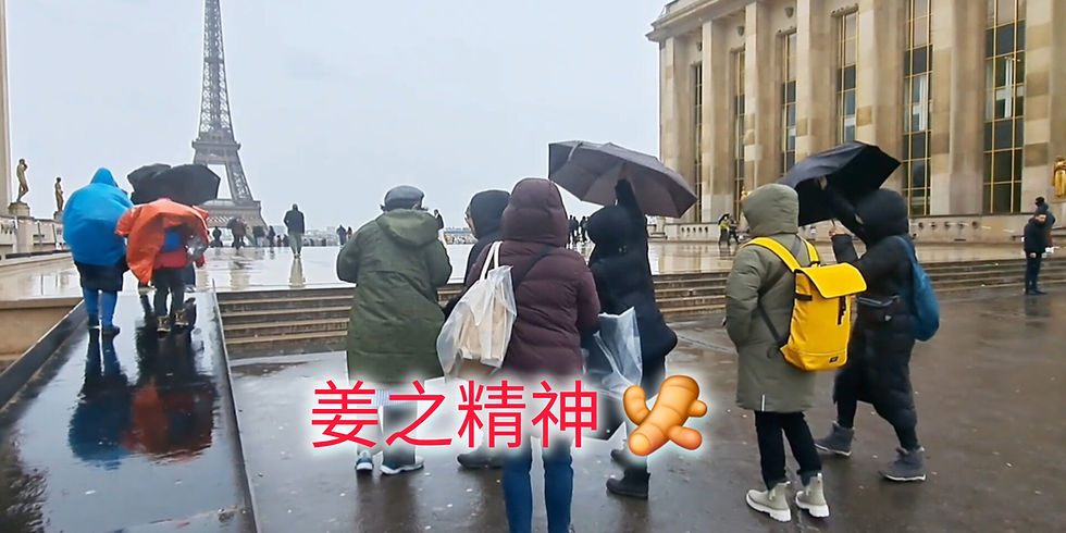 姜之精神*