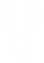 26_MR_New Masthead white (1).png