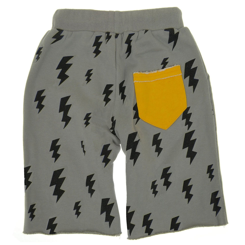 SSA171051 Lightning For Breakfast Shorts_Back.jpg