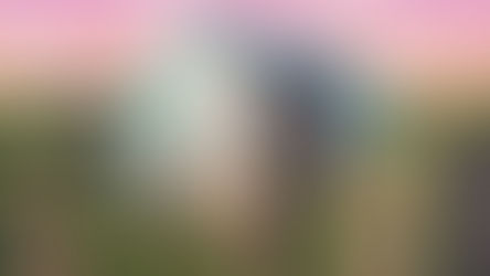 JAN 27 | Online Workshop Serial Renovation