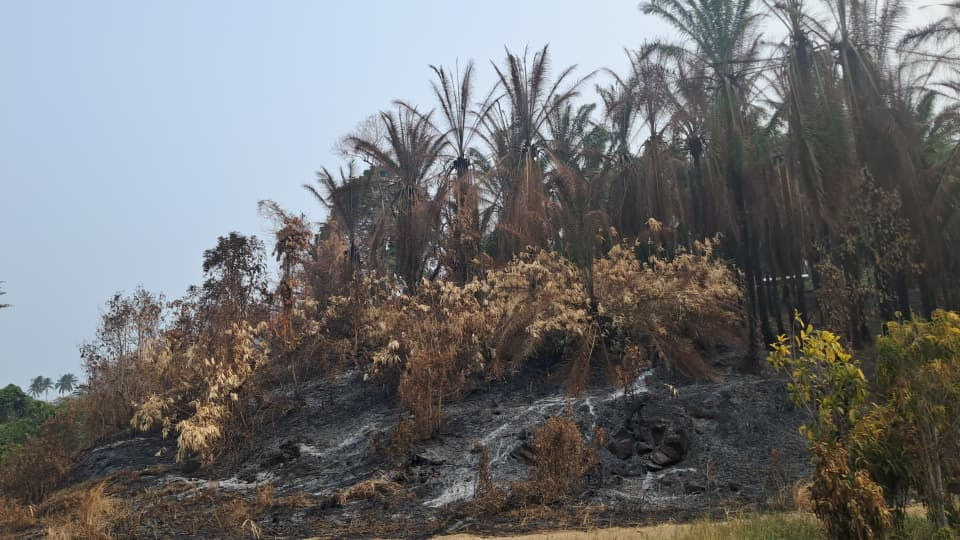 Fires are breaking out everywhere. With oil palm and dry grass catching flames rapidly and smoke filling the air, Fr. Evance warns that public health is now at risk.