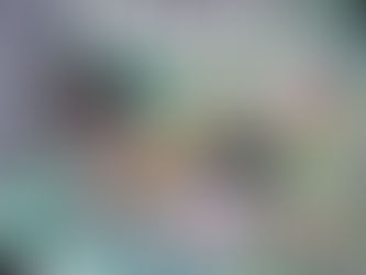 Reading Pile: No One Returns From The Enchanted Forest GN & Witch Hat Atelier Vol 7 & 8