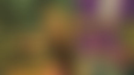 New & Upcoming Comics Spotlight: Action/Adventure