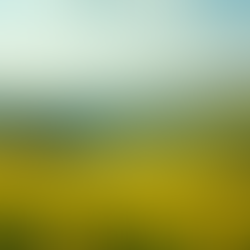 Robert Quigley's Vision for Kentucky's Future