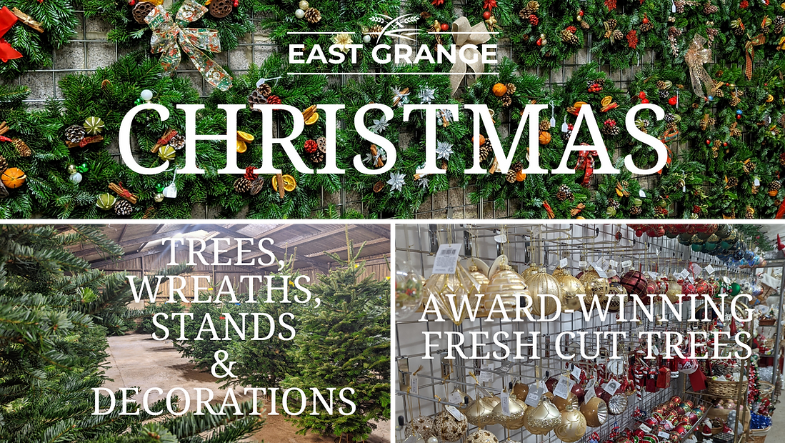 Collection of Christmas images and info about the event